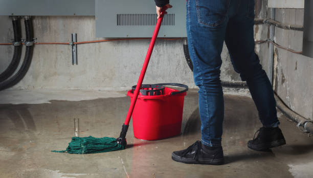  Mantua, VA Water damage restoration Pros