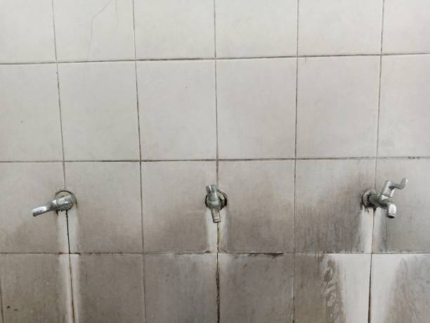 Carpet water damage restoration in Mantua, VA