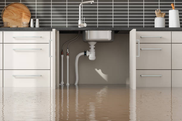 Best 24-hour water damage restoration  in Mantua, VA
