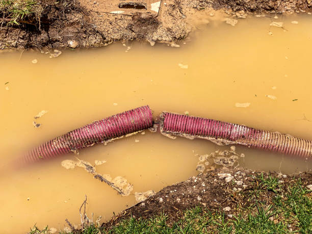 Carpet water damage restoration in Mantua, VA